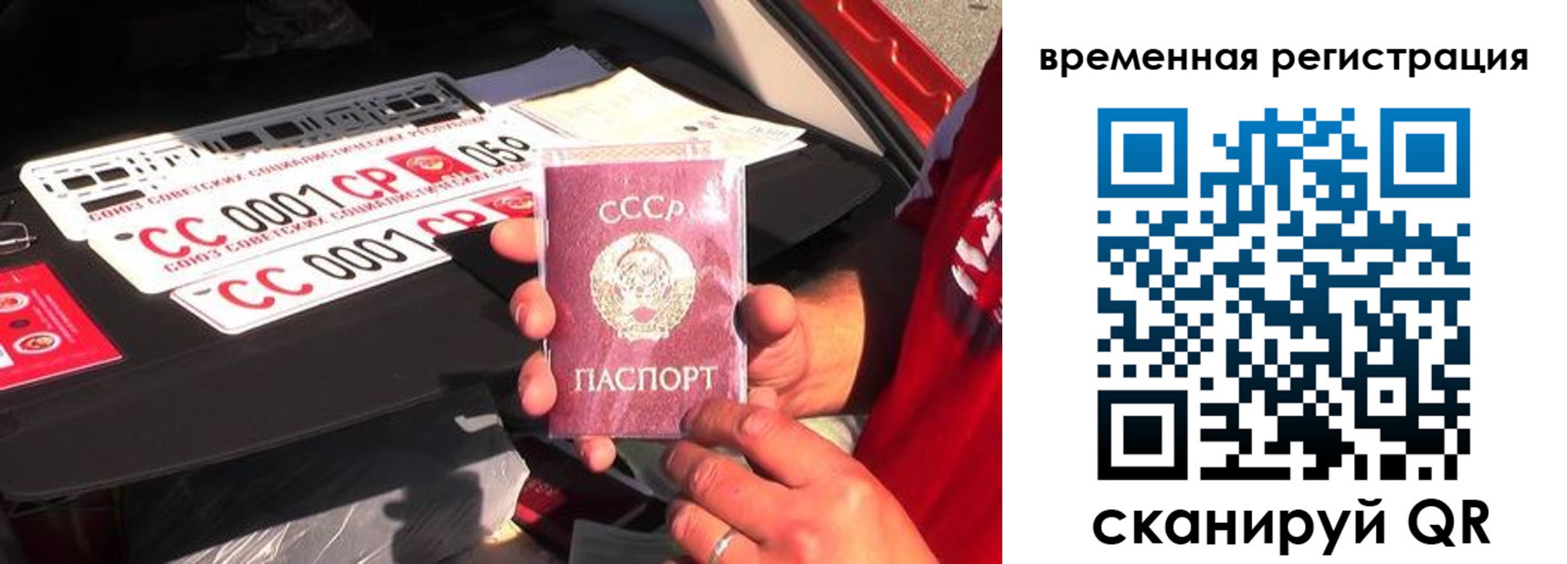 где прописаться в Светлом